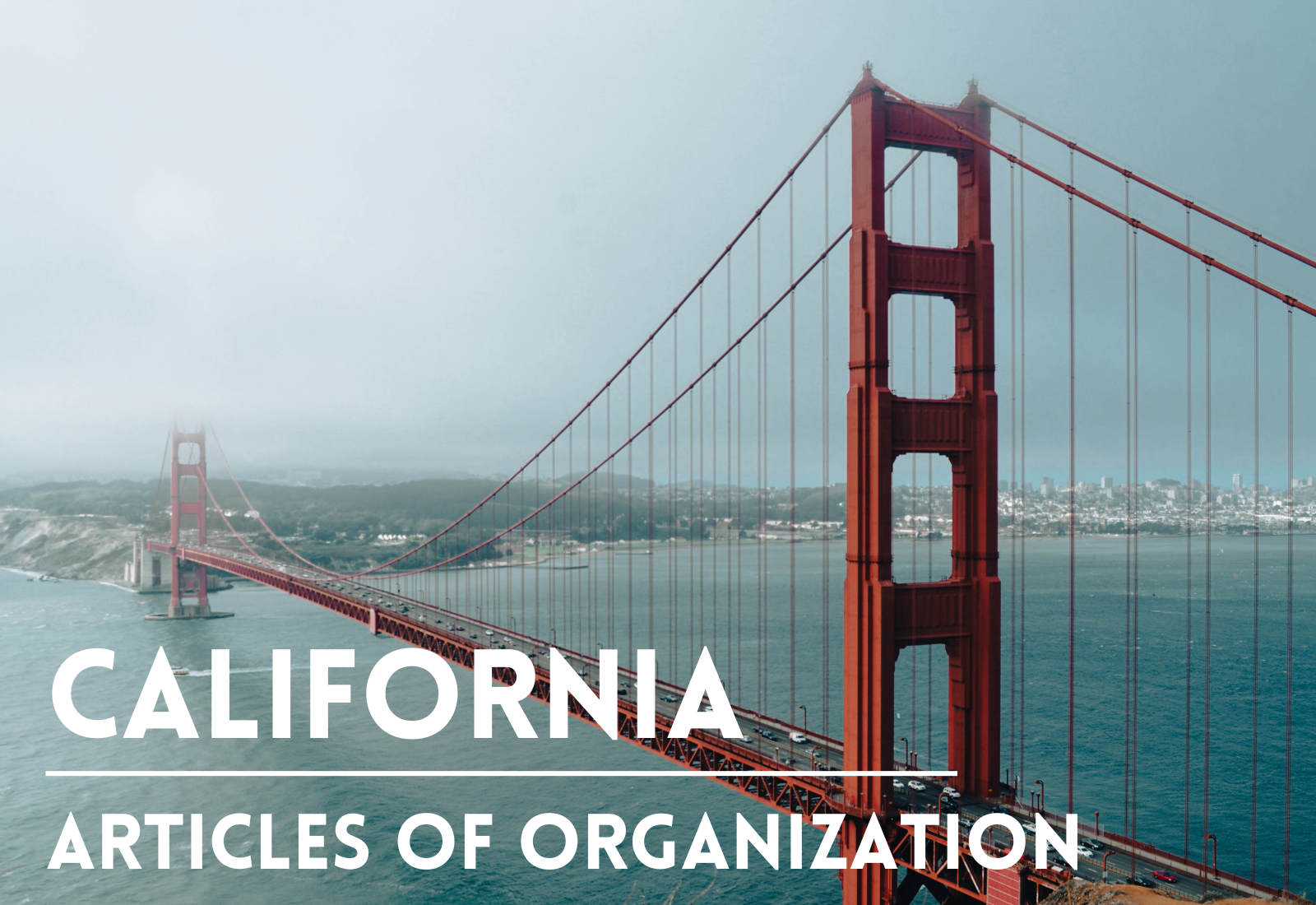 california llc articles of organization