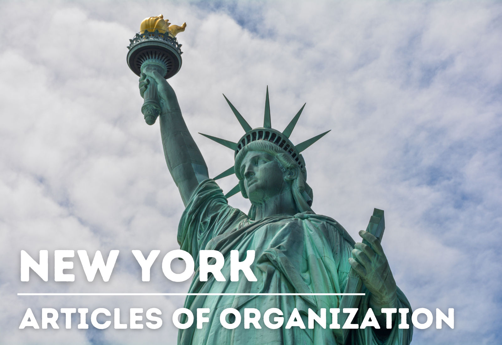 new york articles of organization